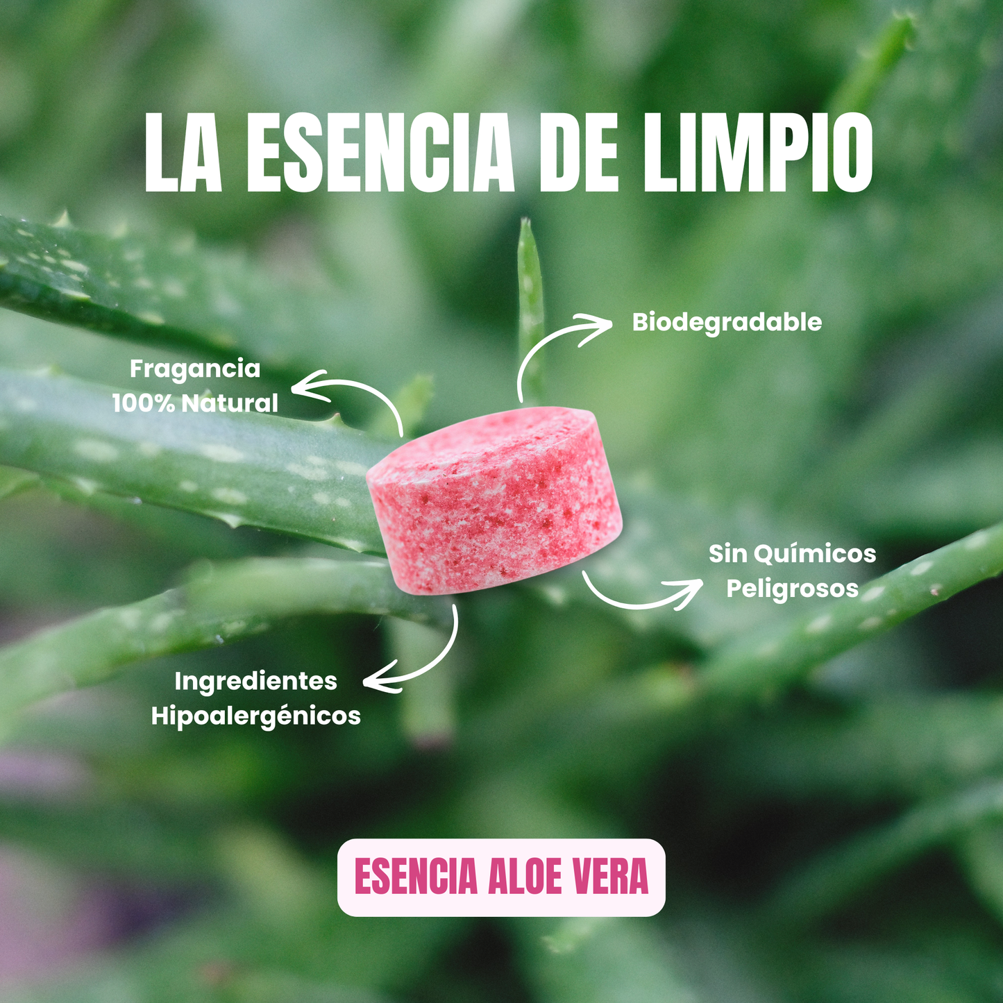 Recarga Multiusos