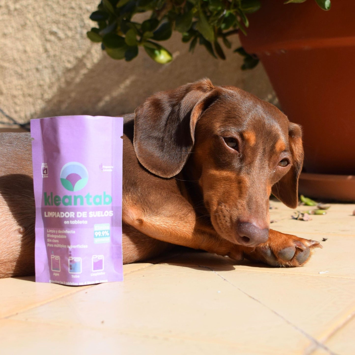 Pack Limpiador de Suelos