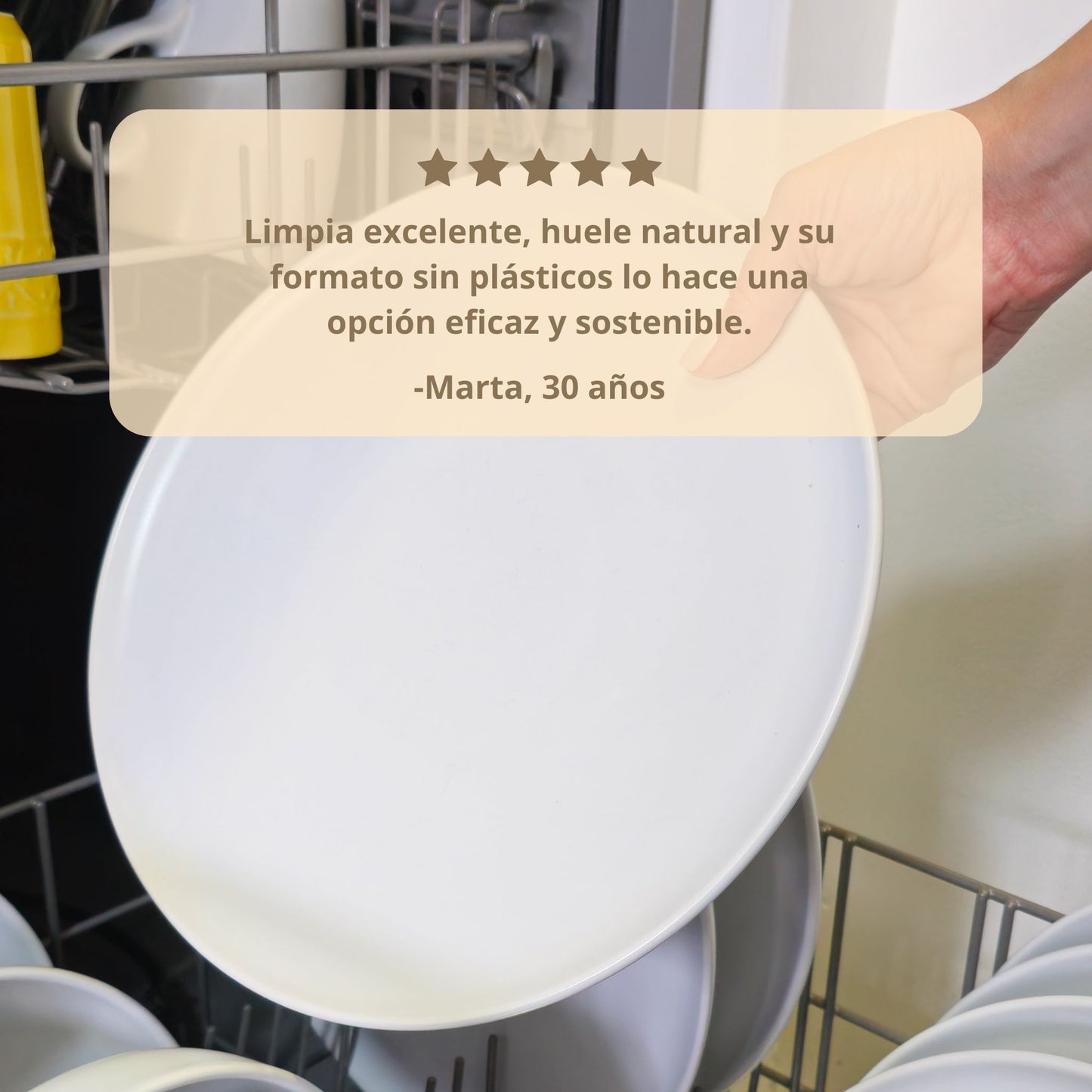 Detergente Lavaplatos - 50uds.